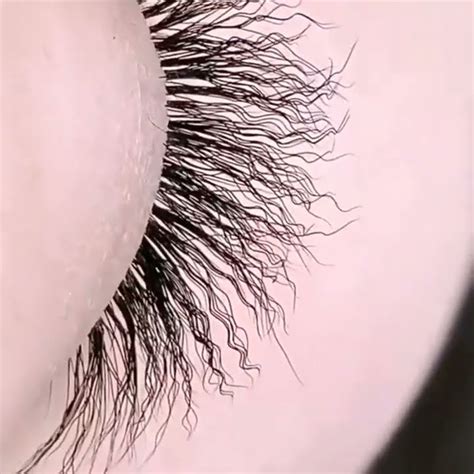 Wool Curly Eyelash Extensions The Instant Noodle Rolled Lashes The