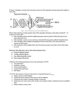 AP Bio Unit 6 Test By Julia Muglia Teachers Pay Teachers