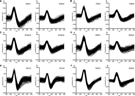 Typical Waveforms Of Putative Pyramidal Neurons Aa Ab Ba Bb Ca