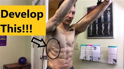 2 Great Serratus Anterior Exercises With Resistance Bands Youtube