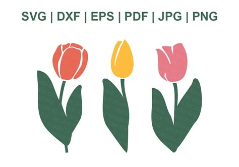 Tulip Svg Bundle Tulip Flower Svg Spring Clipart Cricut Etsy