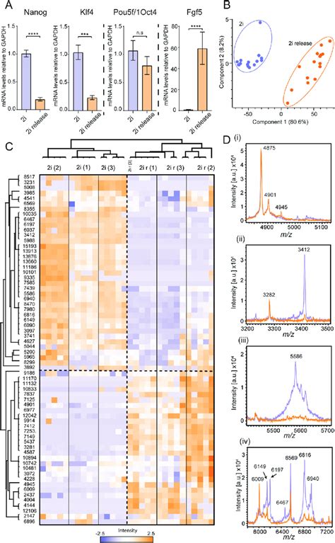 Whole cell MALDI TOF MS distinguishes between naïve and differentiating