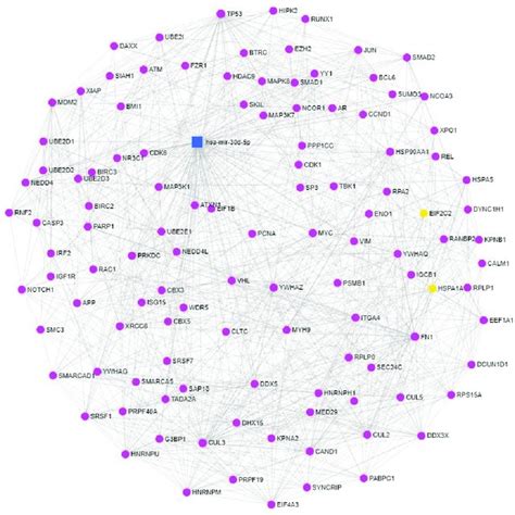 Functional Annotation Analysis Of The Targets Of Mir D P Gene Gene