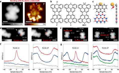 Atomically Precise Imprinting π Magnetism in Nanographenes via Probe