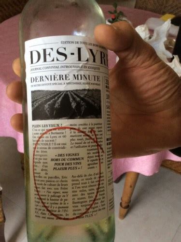 Ch Teau Bertinerie Des Lyres Derni Re Minute Vivino Us