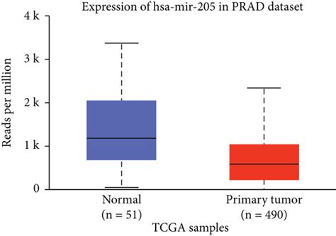 The Mir 205 Expression In The Database A The Mir 205 Expression In Download Scientific