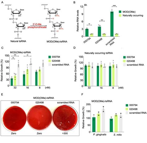 Chemically Modified TsRNAs Confers Superior Growth Inhibition Of Fn In