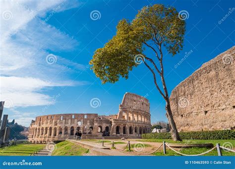 Colosseum As Seen from the Palatine Hill in Rome, Italy Editorial Stock ...