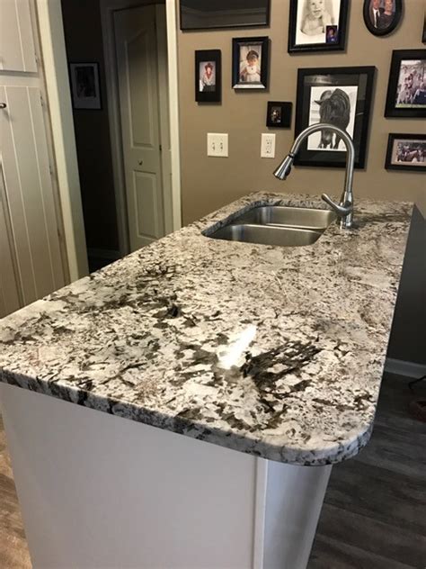 Bianco Antico Granite Countertop Transitional Kitchen Raleigh