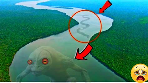 Unsolved Mysteries Of Amazon Forest Strange Creatures Of Amazon