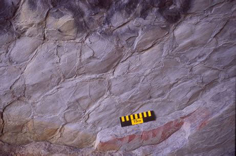 Deformation of the Appalachian Plateau | Geology | Allegheny College