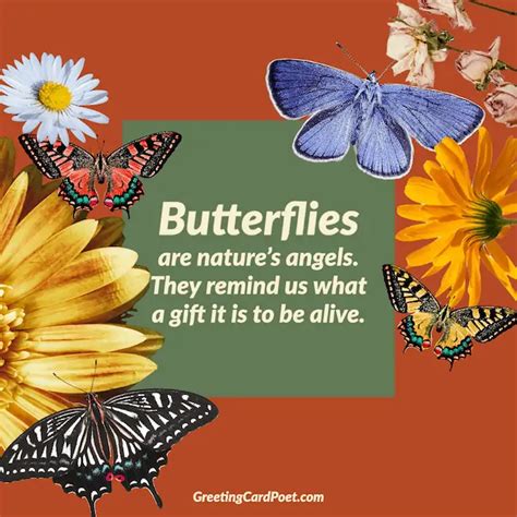 Butterfly Quotes Reflecting Their Grace And Beauty