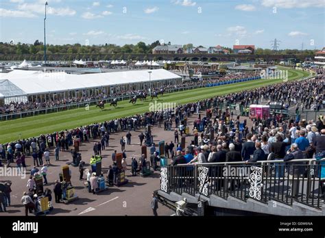 Chester Uk 4th May 2016 Chester Races The First Race Of The First