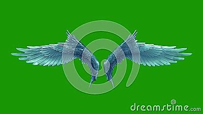 Angels Flapping Wings Loop Green Screen 3D Renderings Animations Stock