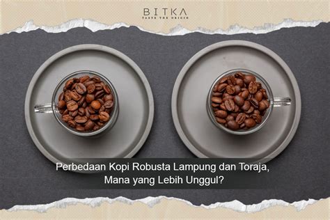 Perbedaan Kopi Robusta Lampung Dan Toraja Mana Yang Lebih Unggul