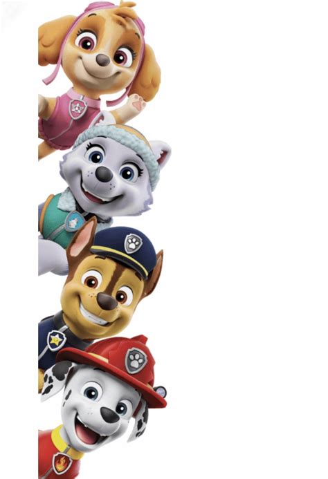 Pin De Dios En Fotos De Portada Fiesta Infantil Paw Patrol Fiesta De