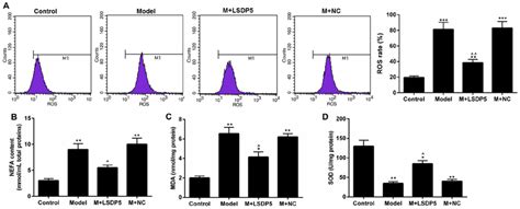 LSDP5 Suppresses The Activity Of Oxidative Stress In LO2 Lipotoxicity