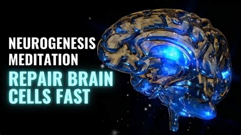 Grow New Brain Cells Through Neurogenesis Repair Brain Cells Fast