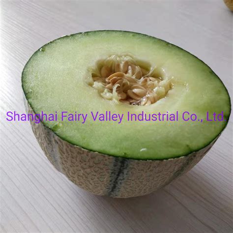 Hybrid F1 Green Flesh Cantaloupe Musk Melon Hami Melon Seeds For