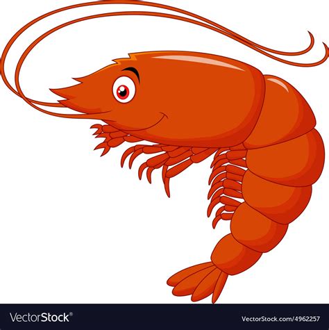 Cute Shrimp Cartoon Royalty Free Vector Image Vectorstock