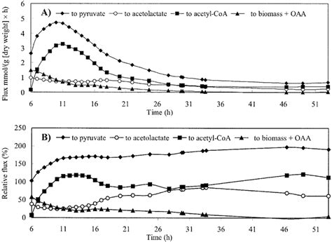 Metabolic Flux Distribution At The Pyruvate Node Throughout Cultivation