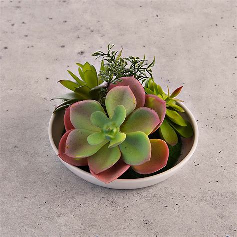 Mini Planta Artificial Suculenta Con Plato Haus Elaborada En Pl Stico