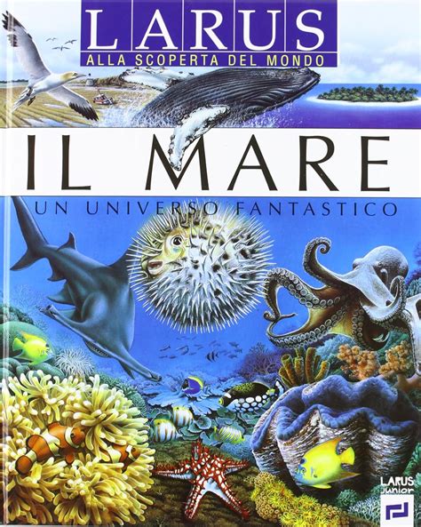 Il Mare Ediz Illustrata AA VV AA VV AA VV Amazon It Libri