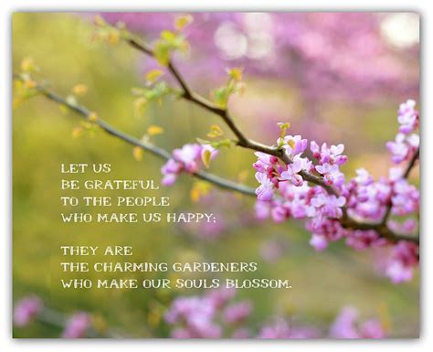 Springtime Quotes Inspirational Quotesgram Positive Spring Quotes Hd