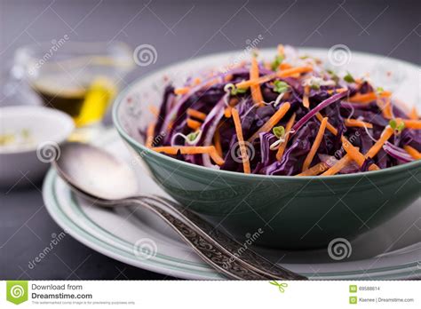 Red Cabbage Carrot Onion And Radishes Sprouts Salad Stock Photo