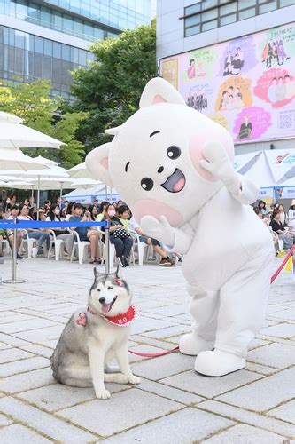 양천으로 놀러오개~ 내달 8일 반려동물축제 Y펫밀리 스포츠조선