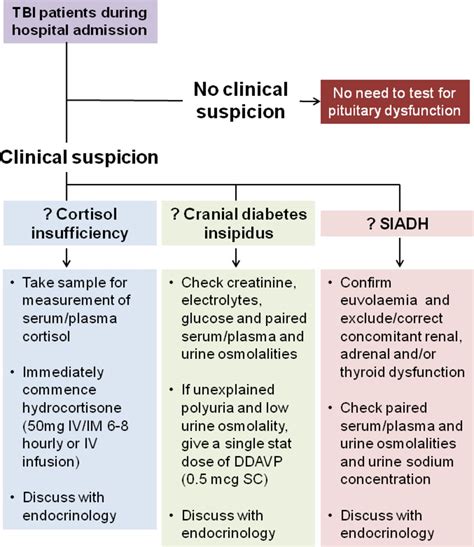 Diabetes Insipidus Treatment Algorithm DiabetesWalls