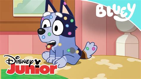 Bluey Bingo Está Malita Disney Junior Oficial Youtube