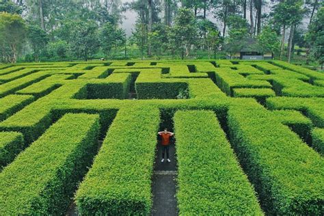 Lokasi Dan Harga Tiket Masuk Taman Labirin Coban Rondo Malang Serunya