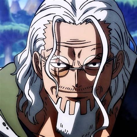 Silvers Rayleigh One Piece One Piece Drawing Manga Anime One Piece