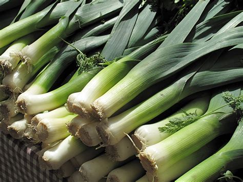 Leeks A Seasonal Eaters Guide To Spring Produce Popsugar Food