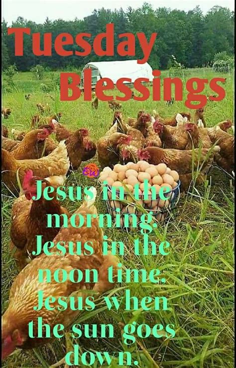 Tuesday Morning Weekday Blessings Blessed Jesus Fall Quotes