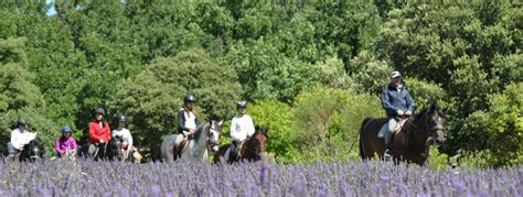 Auvergne Rhône Alpes Randonnées équestres pour Adultes sur TERRE