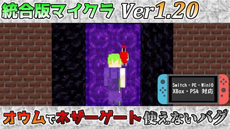 【統合版マイクラ】ver1 20 1 オウムが肩に乗っているとネザーゲートが使えないバグ 統合版マインクラフト・バグ報告会【switch Win10 Pe Ps4 Xbox】 マイクラ