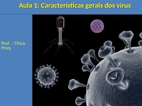 Ppt Prof Chico Pires Aula Caracter Sticas Gerais Dos V Rus Aula