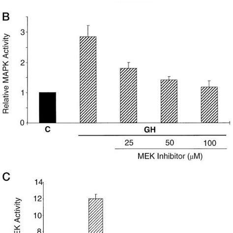 The MEK Inhibitor PD098059 Attenuates GH Stimulated Expression And