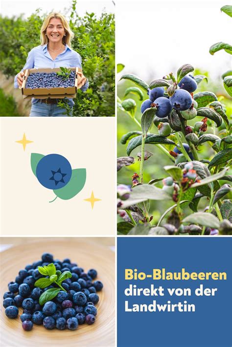 Bio Heidelbeeren Von El Rompido Spanien Crowdfarming Saisonales