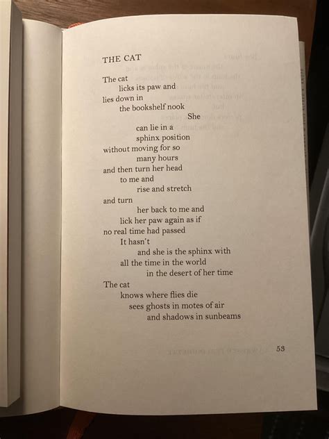 Poem The Cat By Lawrence Ferlinghetti Rpoetry