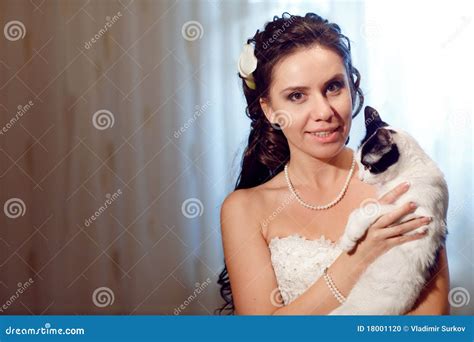 Bride With A Cat Stock Photo Image Of Beauty Domestic