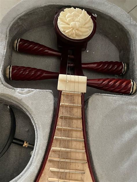 Liu Qin Chinese Traditional Instrument Hobbies And Toys Music And Media