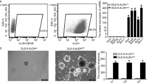 The Stemness Of Aldh High Cells A The Efficiency Was Confirmed By