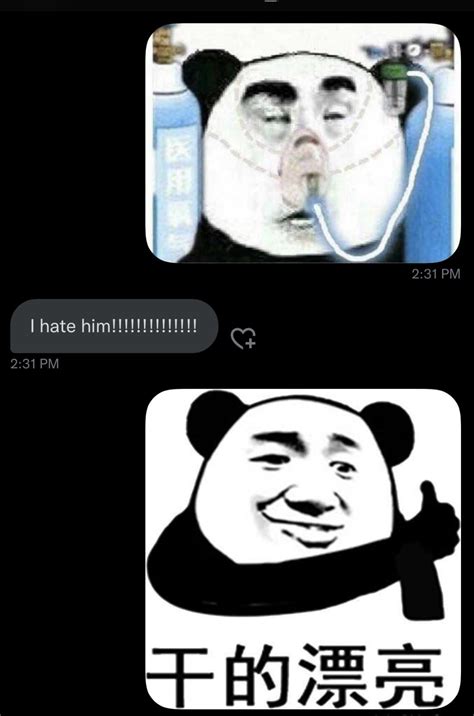 Chinese Panda Oxygen Mask Meme Chinese Panda Wearing Oxygen Mask