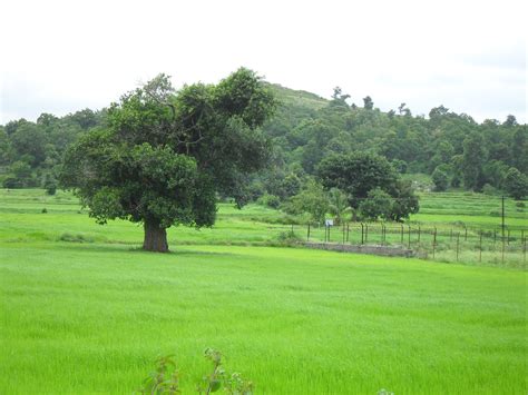 yelagiri hills photos 7 - Images WorthvieW