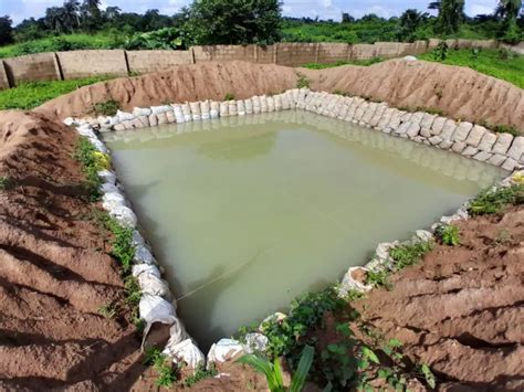 Types Of Ponds For Fish Farming