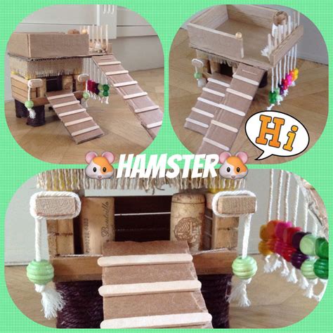 Hamster Toys Diy Easy