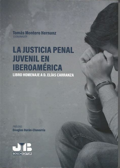 Justicia Penal Juvenil En Iberoamérica Libro Homenaje A D Elías